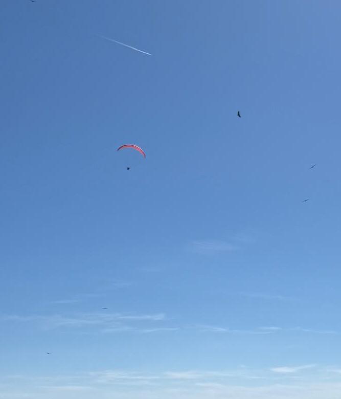 Parapente bien accompagne