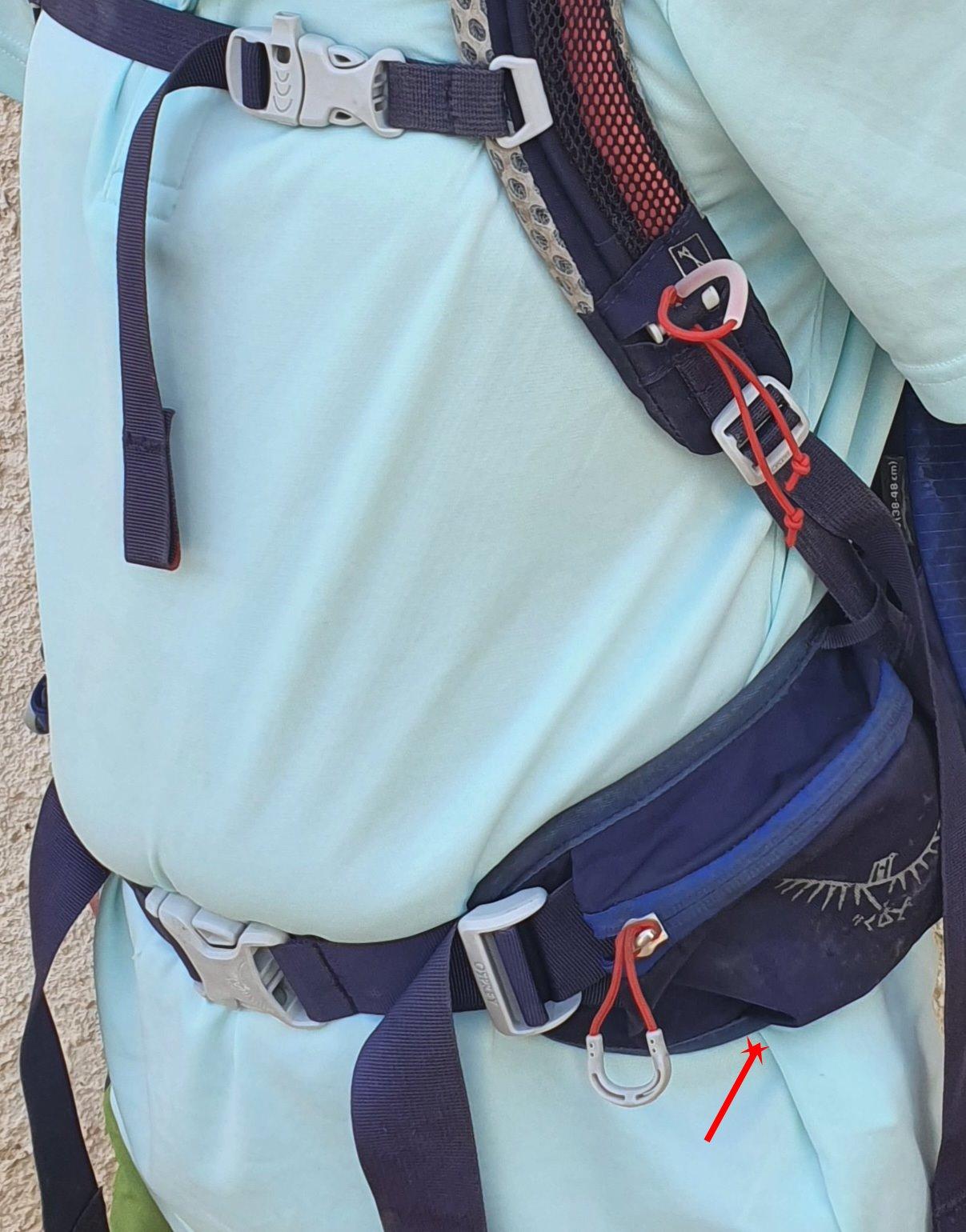 Ventrale 2